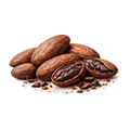 Cacao