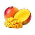 Mangue